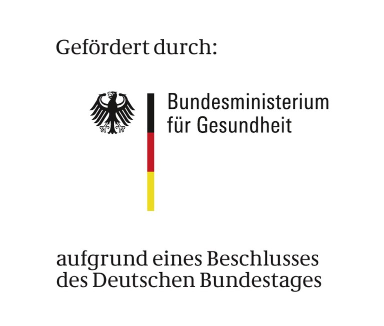 logo-BfG